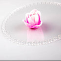 Transparent Round Basket Bottom for Handcraft